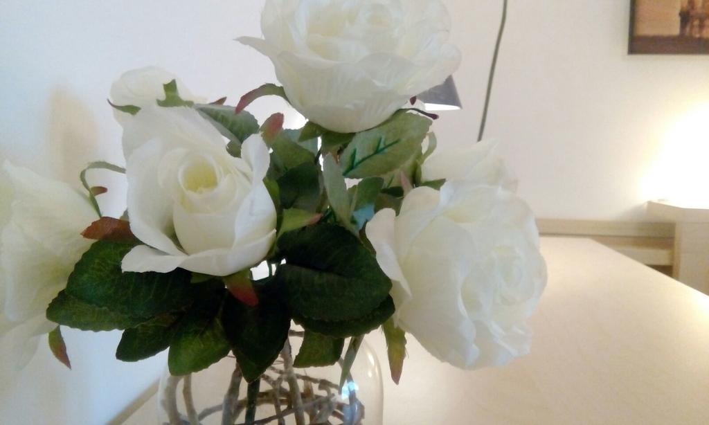 B&B Salviani Acilia Eksteriør billede